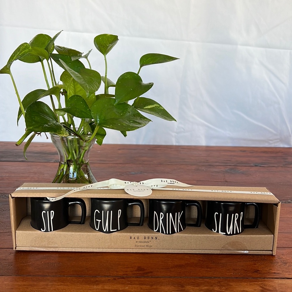 Rae Dunn Espresso cup set